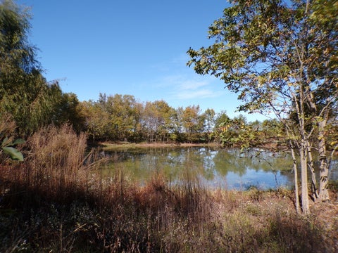 Tiny photo for 5237 Beaucoup Road, Ava, IL 62907 (MLS # 12794058)