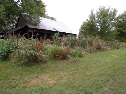 Tiny photo for 5237 Beaucoup Road, Ava, IL 62907 (MLS # 12794058)