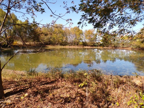 Tiny photo for 5237 Beaucoup Road, Ava, IL 62907 (MLS # 12794058)