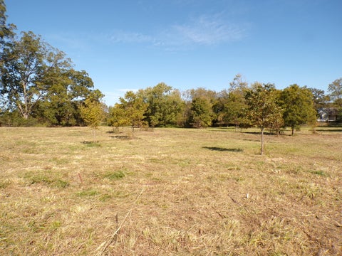 Tiny photo for 5237 Beaucoup Road, Ava, IL 62907 (MLS # 12794058)