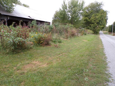 Tiny photo for 5237 Beaucoup Road, Ava, IL 62907 (MLS # 12794058)