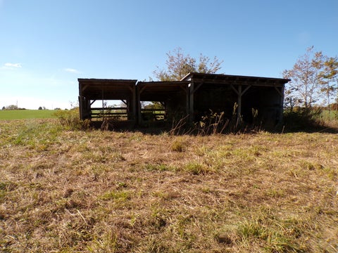 Tiny photo for 5237 Beaucoup Road, Ava, IL 62907 (MLS # 12794058)