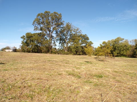 Tiny photo for 5237 Beaucoup Road, Ava, IL 62907 (MLS # 12794058)