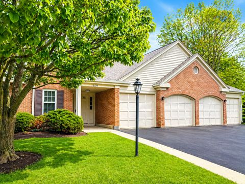 Photo of 1514 Camden Court #A1, Wheeling, IL 60090 (MLS # 12625005)