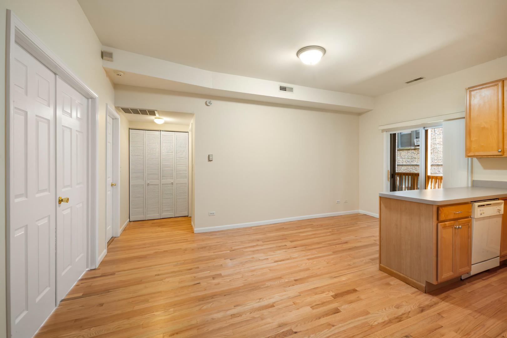 1133 E 61ST Street 2