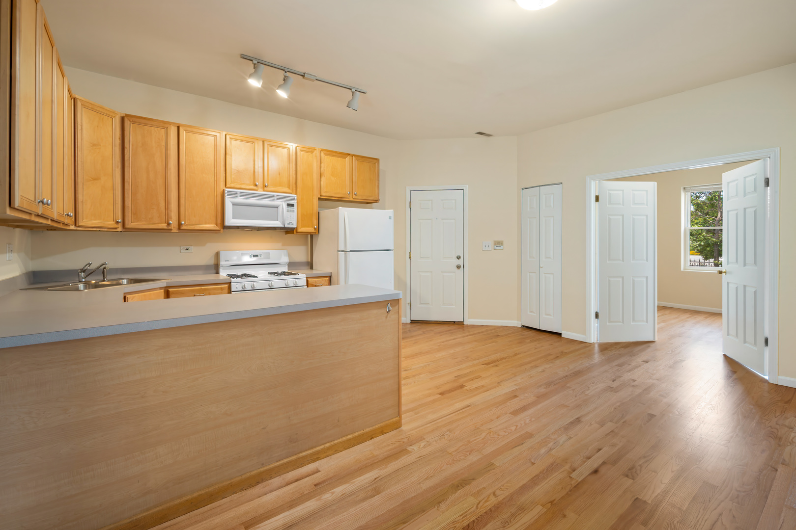 1133 E 61ST Street 2
