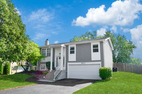 Photo of 923 Capistrano Terrace, Bartlett, IL 60103 (MLS # 12473369)