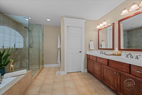 Tiny photo for 427 S Sleight Street, Naperville, IL 60540 (MLS # 12636143)