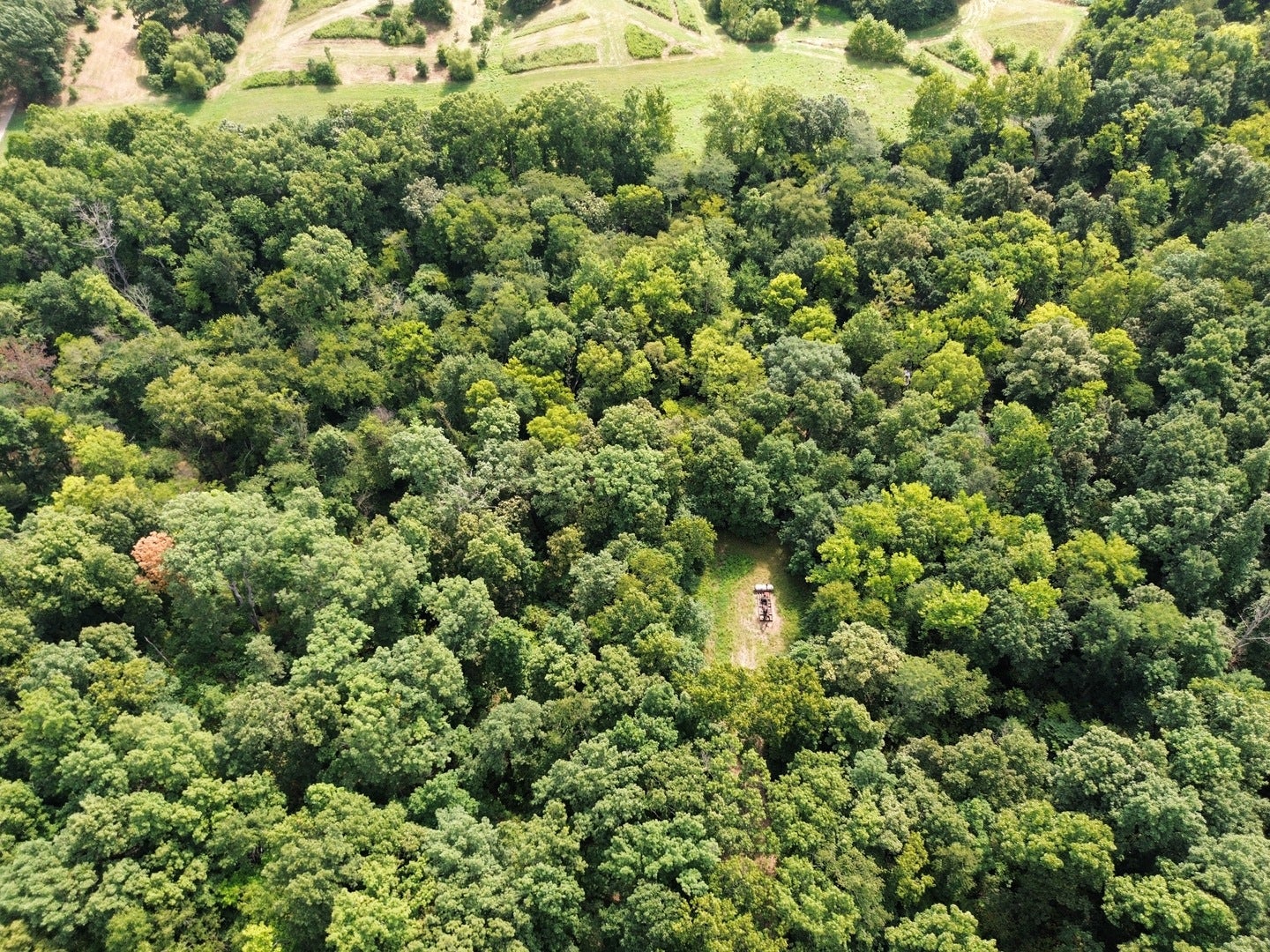 000 Iuka Road