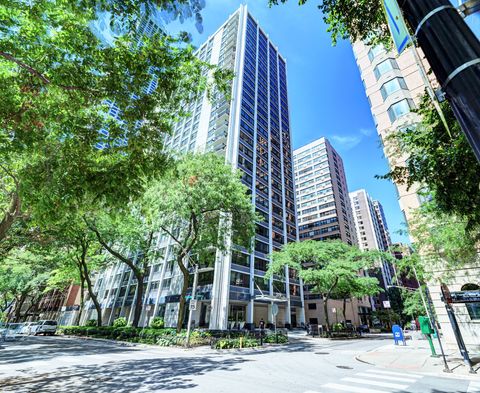 222 E PEARSON Street 2406 Chicago IL 60611