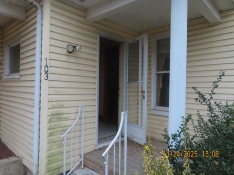 Tiny photo for 103 1st Street, Bradford, IL 61421 (MLS # 12597573)