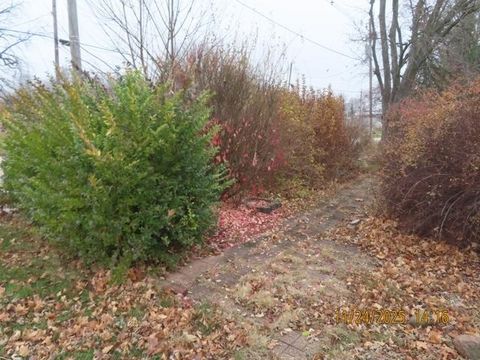 Tiny photo for 103 1st Street, Bradford, IL 61421 (MLS # 12597573)