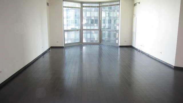 195 N HARBOR Drive 2504