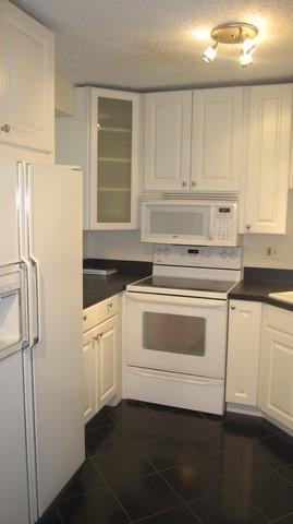 195 N HARBOR Drive 2504