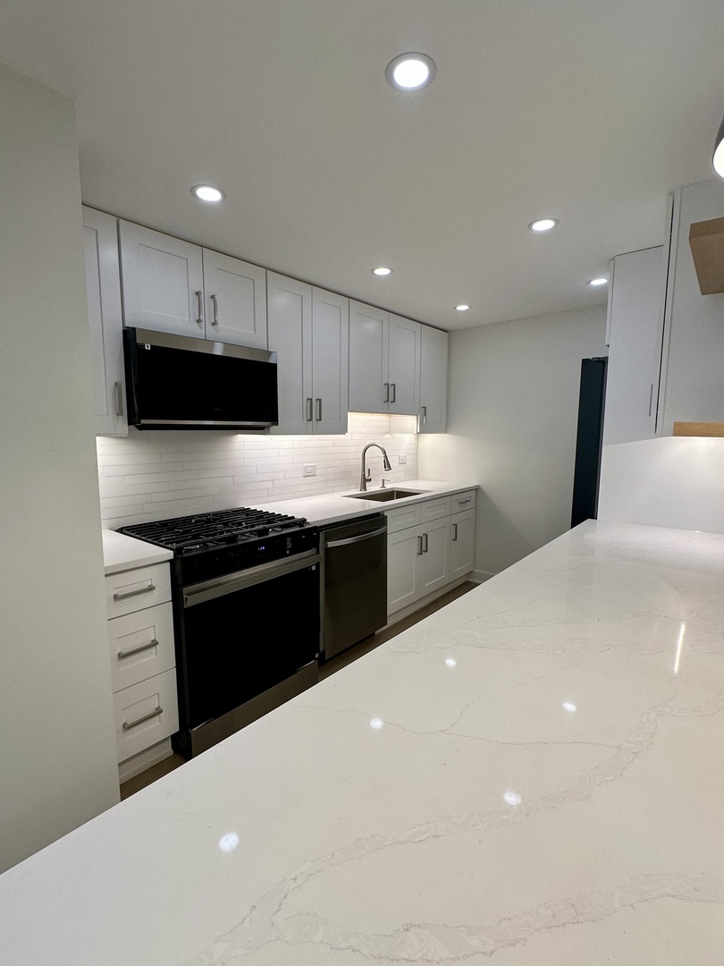 2800 N Lake Shore Drive 2603