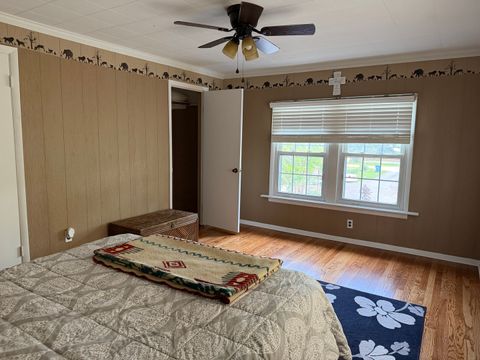 Tiny photo for 916 Illinois Avenue, Murphysboro, IL 62966 (MLS # 12635976)