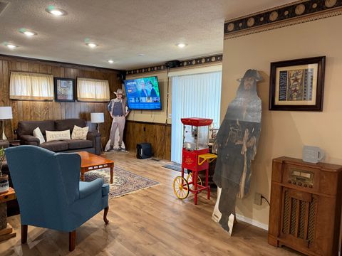 Tiny photo for 916 Illinois Avenue, Murphysboro, IL 62966 (MLS # 12635976)