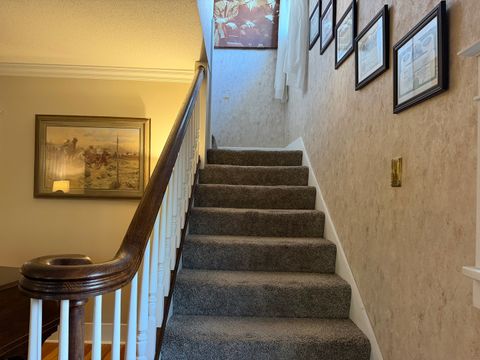 Tiny photo for 916 Illinois Avenue, Murphysboro, IL 62966 (MLS # 12635976)