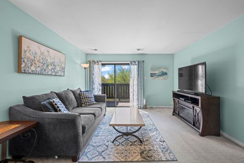 Tiny photo for 831 E Coach Road #4, Palatine, IL 60074 (MLS # 12623433)