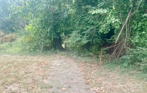 Tiny photo for 500 S Forest Avenue, Carbondale, IL 62901 (MLS # 12771882)