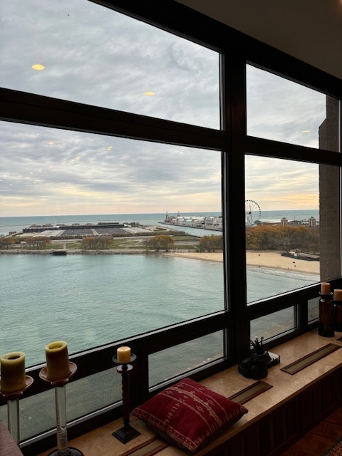 680 N Lake Shore Drive 1103