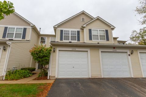 1244 Brookdale Drive 1244 Carpentersville IL 60110