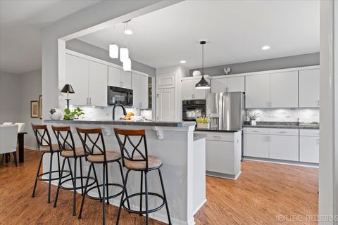 Tiny photo for 12871 Timber Creek Drive, Huntley, IL 60142 (MLS # 12521764)