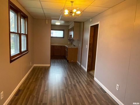 Tiny photo for 403 E CHESTNUT Street, Geneseo, IL 61254 (MLS # QC4268279)