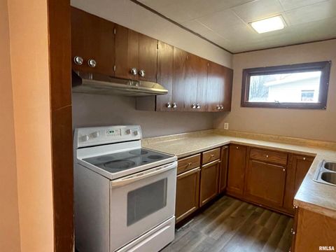 Tiny photo for 403 E CHESTNUT Street, Geneseo, IL 61254 (MLS # QC4268279)