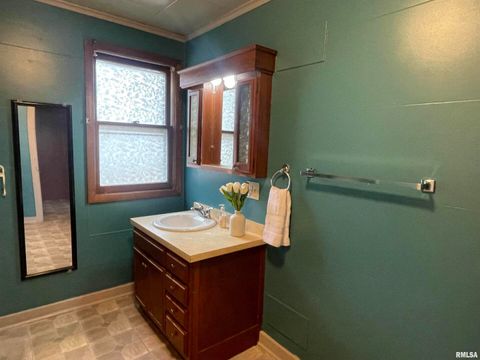 Tiny photo for 403 E CHESTNUT Street, Geneseo, IL 61254 (MLS # QC4268279)