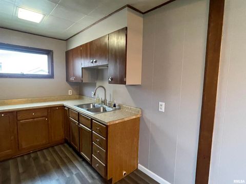 Tiny photo for 403 E CHESTNUT Street, Geneseo, IL 61254 (MLS # QC4268279)