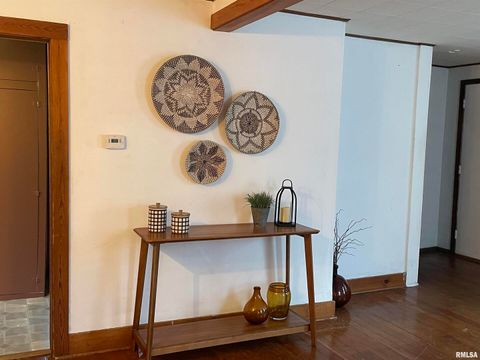 Tiny photo for 403 E CHESTNUT Street, Geneseo, IL 61254 (MLS # QC4268279)