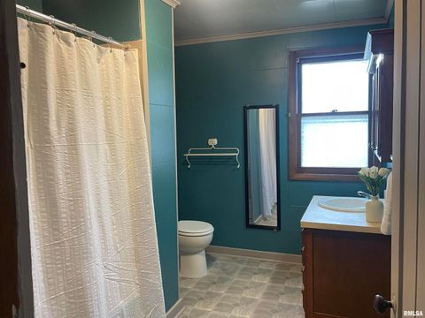 Tiny photo for 403 E CHESTNUT Street, Geneseo, IL 61254 (MLS # QC4268279)