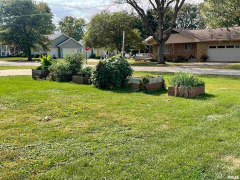 Tiny photo for 403 E CHESTNUT Street, Geneseo, IL 61254 (MLS # QC4268279)