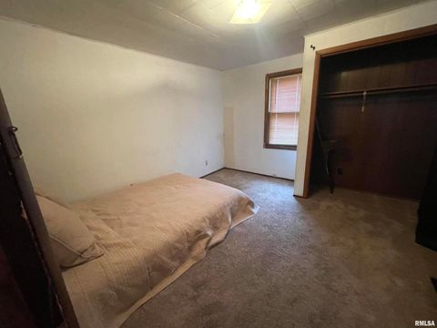 Tiny photo for 403 E CHESTNUT Street, Geneseo, IL 61254 (MLS # QC4268279)