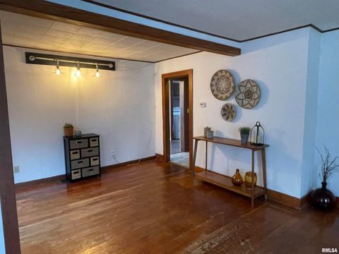 Tiny photo for 403 E CHESTNUT Street, Geneseo, IL 61254 (MLS # QC4268279)