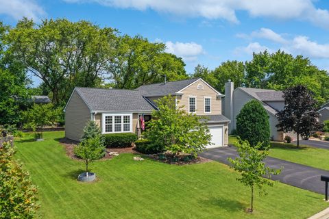 1075 Brittany Road Lake Zurich IL 60047