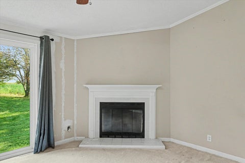 Tiny photo for 14 CHERRY Court, Ogden, IL 61859 (MLS # 12560732)