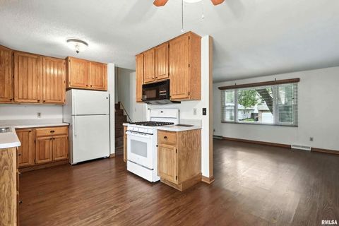 Tiny photo for 3011 N PINE Street, Davenport, IA 52804 (MLS # QC4266083)