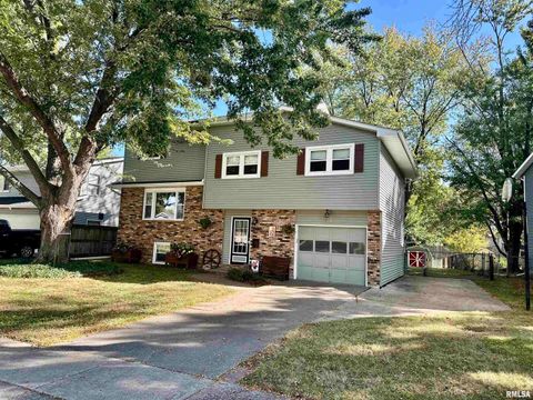Tiny photo for 3011 N PINE Street, Davenport, IA 52804 (MLS # QC4266083)
