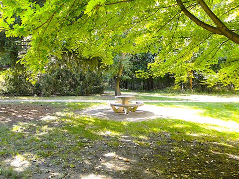 Tiny photo for 3107 Ingalls Avenue #3B, Joliet, IL 60435 (MLS # 12642628)