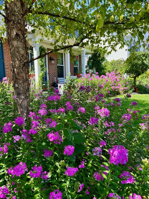 Tiny photo for 12937 Grande Poplar Circle, Plainfield, IL 60585 (MLS # 12613327)