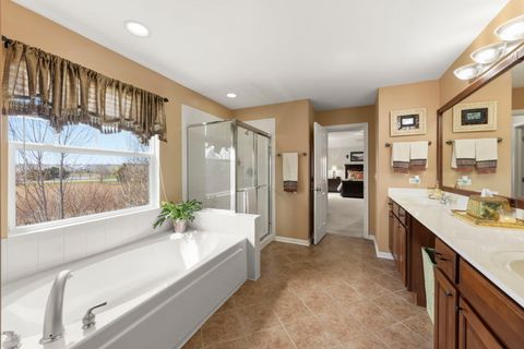 Tiny photo for 12937 Grande Poplar Circle, Plainfield, IL 60585 (MLS # 12613327)