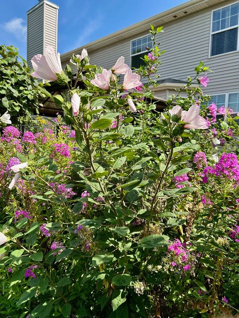 Tiny photo for 12937 Grande Poplar Circle, Plainfield, IL 60585 (MLS # 12613327)