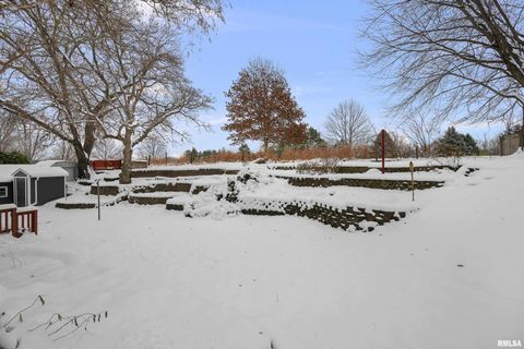 Tiny photo for 8325 55TH Street, Coal Valley, IL 61240 (MLS # QC4269820)