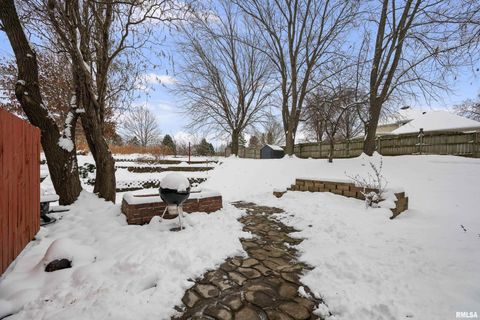 Tiny photo for 8325 55TH Street, Coal Valley, IL 61240 (MLS # QC4269820)