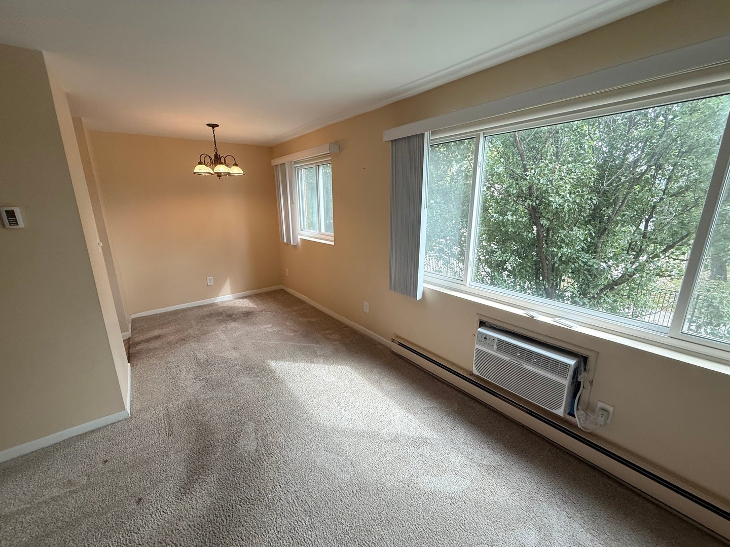 222 Madison Street 213