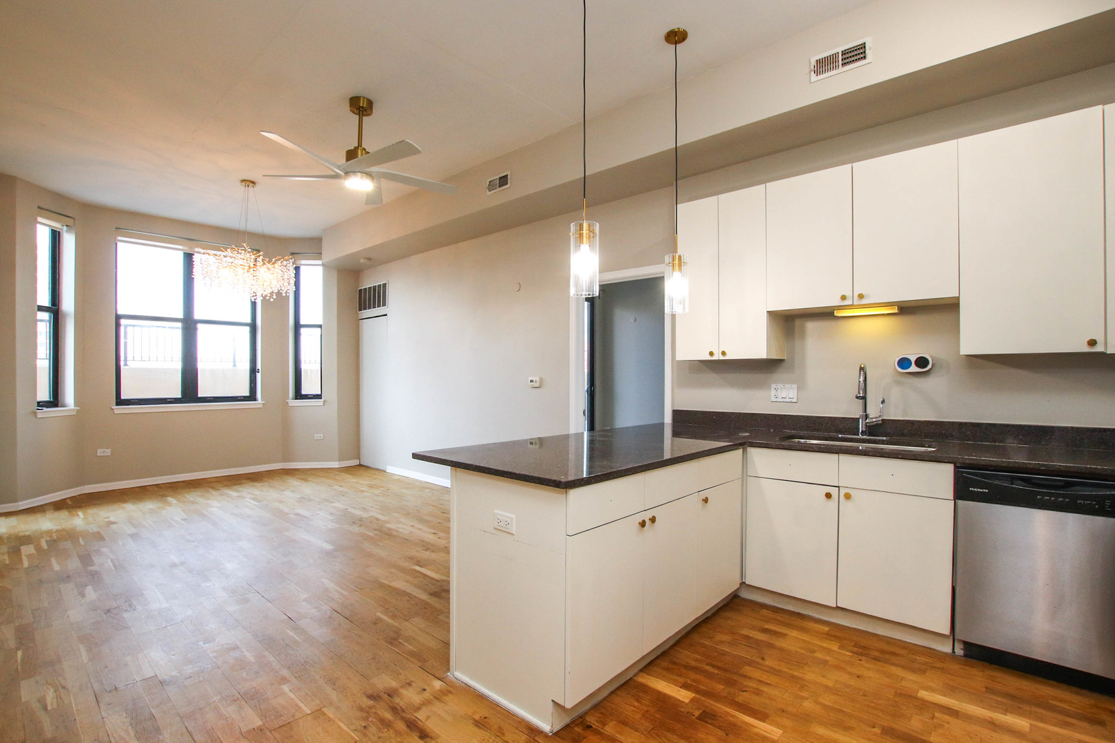 1464 S MICHIGAN Avenue 507