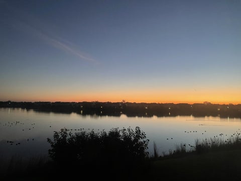 Tiny photo for 196 Chapin Way, Oswego, IL 60543 (MLS # 12750494)