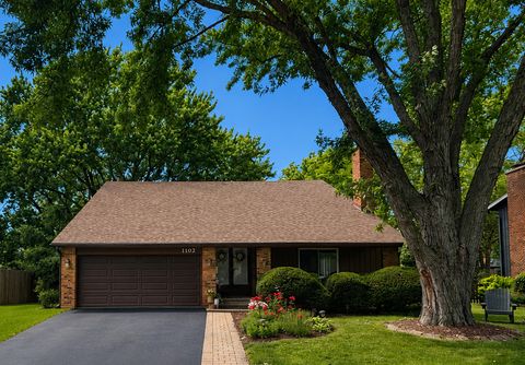 Photo of 1102 N Pepper Tree Drive, Palatine, IL 60067 (MLS # 12673269)